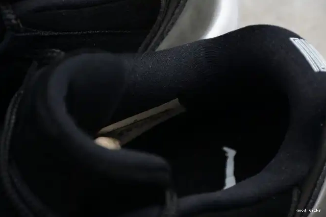 Rep 11 Retro Low Jordan 528895-010 